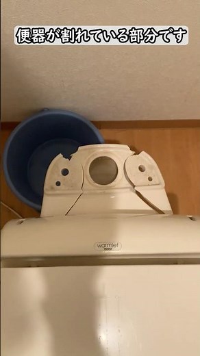 トイレの便器が割れてタンク下から水漏れする？便器交換作業 #shorts #トイレ #水漏れ #便器 #交換