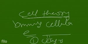 Schwann proposed a cell theory according to which... | Filo