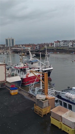 Saturday morning bridlington harbour 🌊 Yorkshire coast-love it 🦞 🦂 🦞