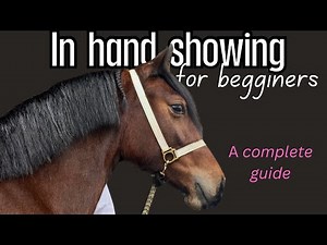 A COMPLETE GUIDE TO IN HAND SHOWING FOR BEGINNERS