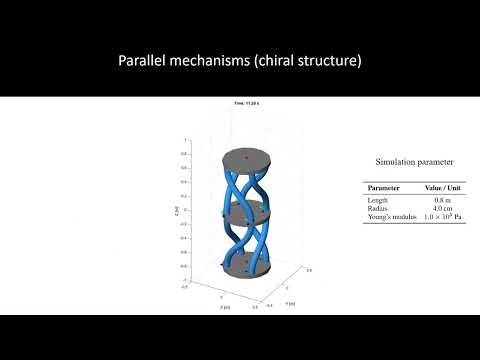A General Lie-Group Framework for Continuum Soft Robot Modeling