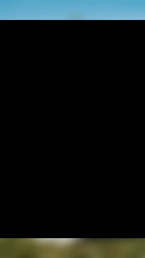 Another Beautiful Fall Wedding #liliesanddaisiesflorist #landdflorist #smallbusiness #shoplocal #weddings #weddingflowers #northeastgeorgia | Janet Roberts Kinsey