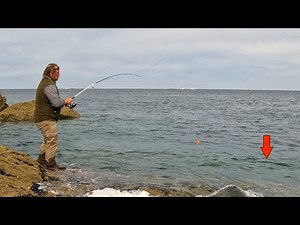Sea fishing, from the shore: it’s abundant!