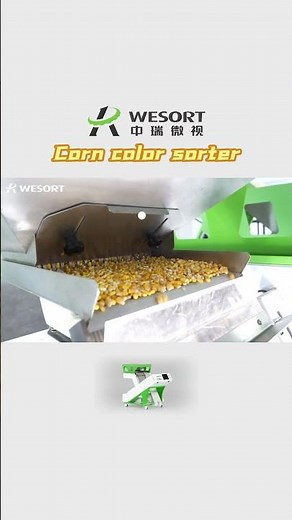 WESORT Grain Sorting Machine/Color Sorter Machine
