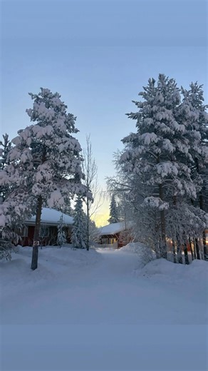 Let’s talk LAPLAND 🎅🏻☃️🦌 Lapland is one of our favourite destinations we offer it’s such a magical trip to plan for you where you will truly make memories to last a lifetime 😍 Our manager Hayley has just got back from her 6th visit to Lapland. This time she stayed in the beautiful village of Levi (photos below) Hayley has visited various resorts in Lapland experiencing both day trips and short breaks & always shares her experiences with the whole team☃️ We get so many enquiries a day saying 