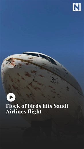A flock of birds struck a Saudi Airlines Boeing taking off from Algiers on Saturday, causing damage to the nose of the plane. | The National