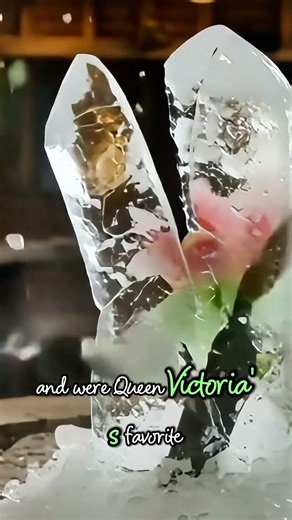 ✨ Frozen Sweet Pea Reveal — Queen Victoria’s Favorite Flower ❄️🌸