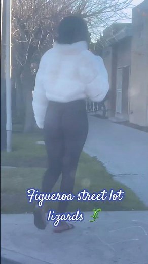 Figueroa street lot lizards 🦎