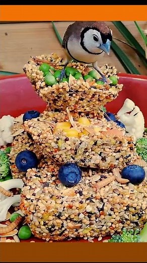 DIY Cookies/Cake for your BIRDS and FINCHES