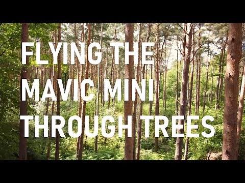 Flying Through Trees | Cinematic DJI Mavic Mini Drone Footage | 1080p 60fps ND Filter (ND8) | Forest