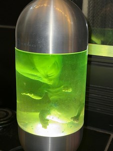 XEMU XENO Alien Embryo Lamp – A Sci-fi Collector’s Dream! - Etsy