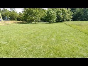 Lightnin Bug DLG . . . Bungee Launch!