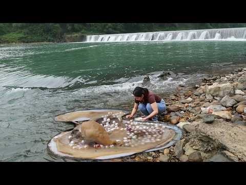 A pair of very large pearl clams, so beautiful!