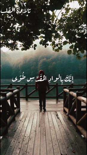 تلاوة جميله من القارئ الشيخ عمرو محجوب #قرآن #اكسبلور