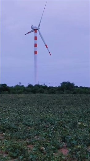 Agriculture for moong farming