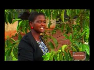 FARMERS BASKET: ROBUSTA COFFEE GROWING BEST PRACTICES