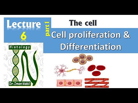 6a- Cell proliferation and stem cells-cell-Histology
