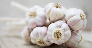 Ail : nos idées recettes