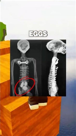 Nobody Can Explain WHAT They Found 😭
