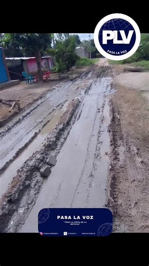 13 reactions | Denuncian abandono en Villa Sonia, Sabanas de San...