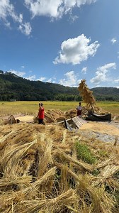Wah Fish Paste on Reels