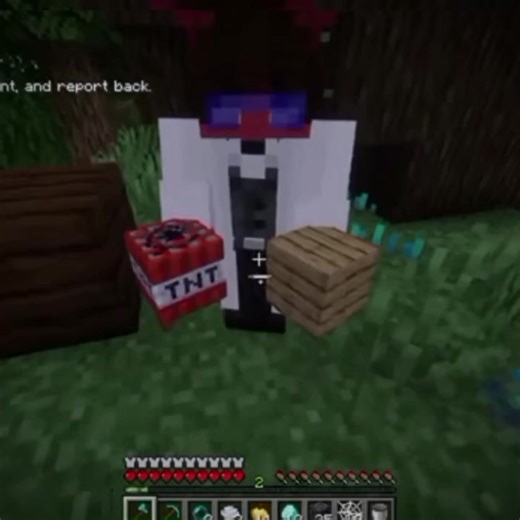 Minecraft Hunger Games Edit by Vexd027