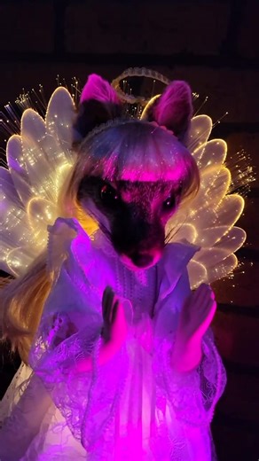 Horror Taxidermy creatures and angel art Inspirations from the Edwardian Ball, San Francisco