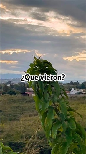 ¿Saben qué animal es? #viral #campo