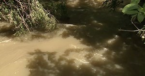 Flooding impact: How diluted raw sewage gets into metro Detroit waterways