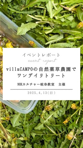 VillaCAMPO養老 on Instagram: "＼villa CAMPOの自然薬草農園でワンデイリトリート／ 先週日曜日 NHKカルチャー岐阜教室様主催の イベントが開催されました 本来ならば参加者の皆さんと villa CAMPOのお庭を歩き 野草を摘んだり おくどごはんを楽しんでいただくはずが💦 なんと大雨の予報☔️😭 天気予報を見たスタッフたちは シフトチェンジ‼️ お天気のうちに 野草や薬草を摘み摘みし☘️🌱🌼 フナクリ食堂が スペシャルビュッフェ会場に大変身✨ 博子先生＆スタッフのアイデアが止まらず😂 予定よりたくさんの献立が並びました✨ 皆さん喜んで帰られたそうで ひと安心❣️ 足元の悪い中 お越しいただいた皆さん ありがとうございました😊 またお天気良い日に 遊びに来てくださいね☀️ 🌸villa CAMPOのご宿泊に関しましては、こちらのDMまたは https://villacampo.jp/usage/ よりお気軽にどうぞ🌸 #船戸ク