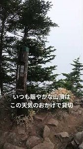 アサマコザクラ咲く黒斑山&シャクナゲ満開高峰山 ＃長野県 ＃黒斑山 ＃高峰山 ＃高山植物 ＃登山 ＃ハイキング ＃アサマコザクラ ＃シャクナゲ