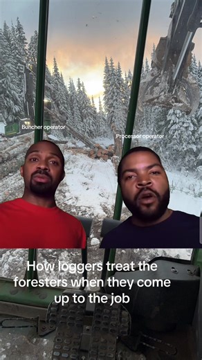 Understanding Logger and Forester Interactions