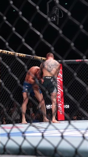 FIGHT OF THE YEAR????? #ufclondon