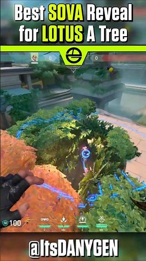 SOVA ATTACKING REVEAL FOR A TREE on LOTUS