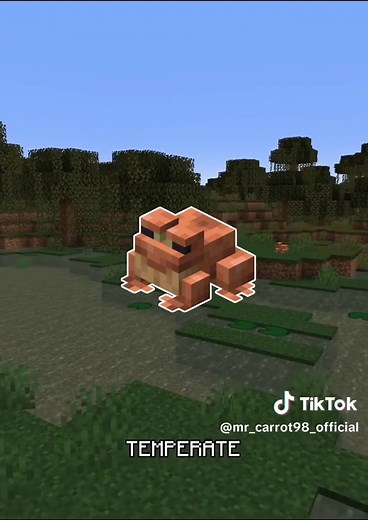 Complete Guide to Frogs in Minecraft