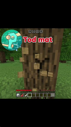 Minecraft funny moments 😂😁