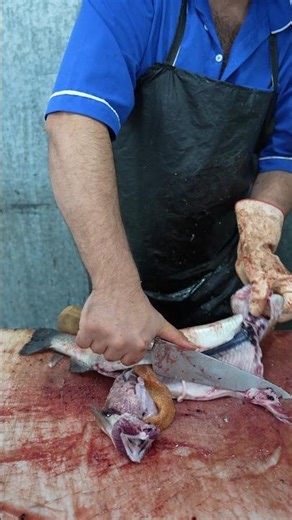 How a Fish Seller Cuts Fish with Unmatched Precision
