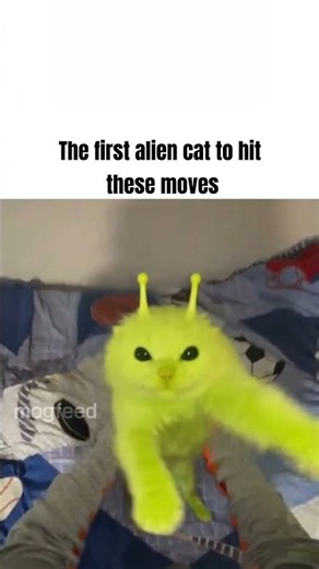 Dancing Alien Cat