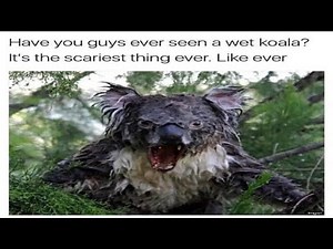 @moreparz compilation 3