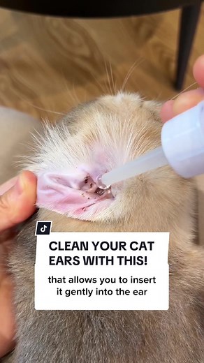 Safe and Effective Cat Ear Cleaning Solution