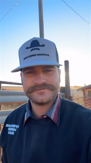 Doctoring sick cattle in the weaning pens. #ranch #cowboy #averagehiredman | Average.Hired.Man