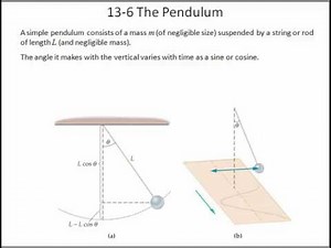 Lecture 4 Period of Springs and Pendulums