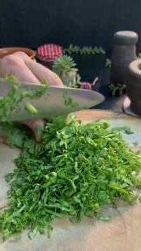 10 MIN Banao Itna Tasty Recipe 🥬🤩............. #palakrecipe #sabji #sabjirecipe #sabzi #dinnerideas