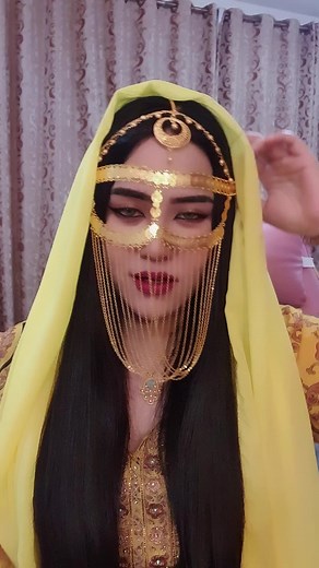 Traditional Attire Showcase with Intricate Embroidery