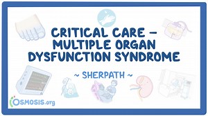 Critical Care - Multiple Organ Dysfunction Syndrome: Video, Causes, & Meaning | Osmosis