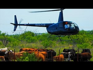 Helicopter Cowboys (Texas Country Reporter)