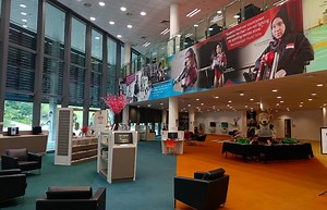 Yoga, cycling and more, happening at the Sports Hub Library | Coconuts