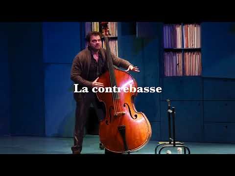 La famille des cordes