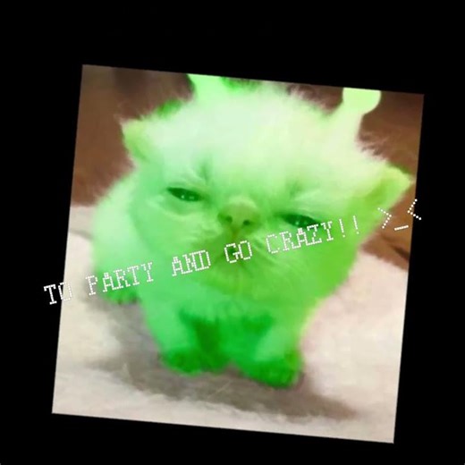 alien time!#aliencat#meowy