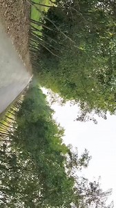 42K views · 1.9K reactions | Moner radio 來 #todaybestphotochallengevi #viewersfriendsfollowers #viewersfriendsfollowersnonfollowers #viralpost2025シ #videoviralシ #todaybestphotochallenge #viwes100k #viralreelschallenge #dansaviral #views1m | Trisha Sardar | Facebook